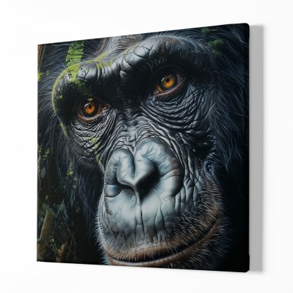 Obraz na plátně Gorila, Přítel z džungle, Makro portrét, Králové divočiny 8643 01 Obraz na plátně samotný na bílé zdi náhled