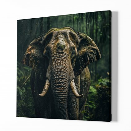 Obraz na plátně Slon, Paměť pralesa, Makro portrét, Králové divočiny 8655 01 Obraz na plátně samotný na bílé zdi náhled