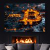 Bitcoin HODL B Silicon Lava černá zeď s krbem