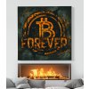 Bitcoin B Forever obraz na plátně bílý krb