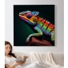 02 6114 barevna jesterka plaz chameleon gekon obraz na platne