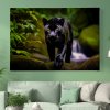 04 6156 cerny panter puma leopard jaguar potok priroda obraz na platne