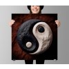 plakat yin yang kameny 1