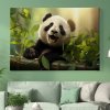 03 7714 panda velka bambus stastna les slunce strom obraz na platne