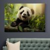 04 7714 panda velka bambus stastna les slunce strom obraz na platne