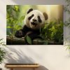 05 7714 panda velka bambus stastna les slunce strom obraz na platne