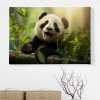 01 7714 panda velka bambus stastna les slunce strom obraz na platne