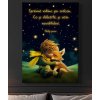 02 8226 maly princ exupery liska objeti soulad citat spravne vidime jen srdcem obraz na platne