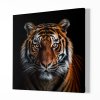 Tygr, oční kontakt, Králové divočiny 8437 01 Obraz na plátně samotný na bílé zdi náhled