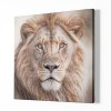 Lev, portrét hluboký pohled krále, Králové divočiny 8523 01 Obraz na plátně samotný na bílé zdi náhled