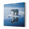 Polární medvěd, Strážce ledových plání, Králové divočiny 8532 01 Obraz na plátně samotný na bílé zdi náhled