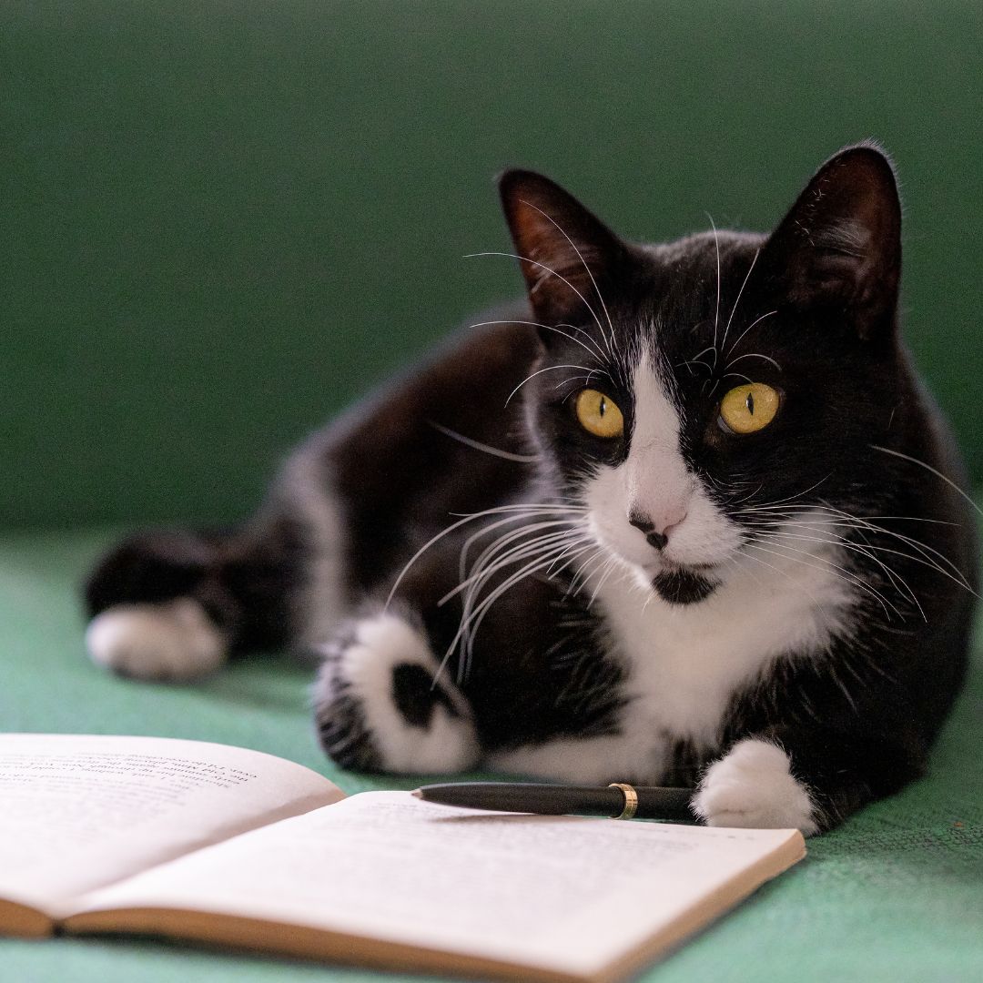 Proč jsem začala psát blog