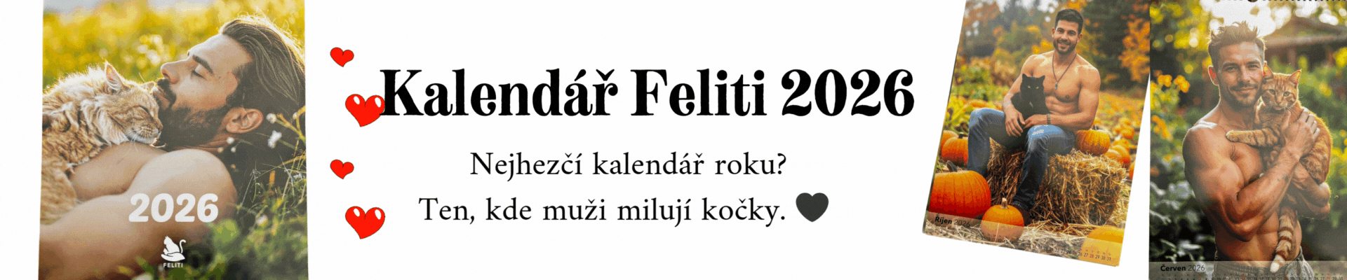 Kalendáře Feliti za akční cenu
