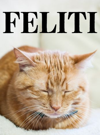 Feliti
