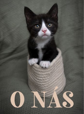 O nás