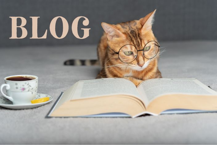 Blog