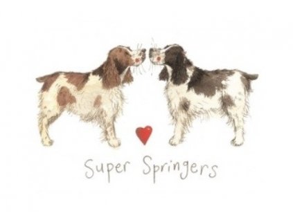 korkové prostírání springers