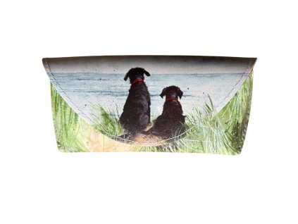 Pouzdro na brýle dunes