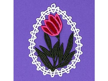 červený tulipán
