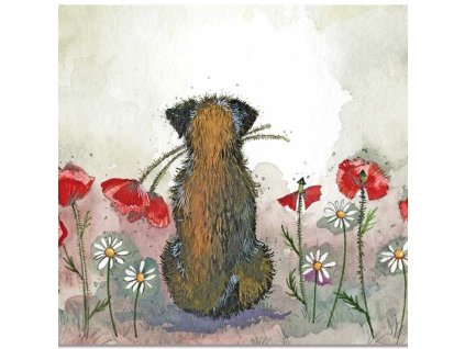 Border and Poppies Placemat