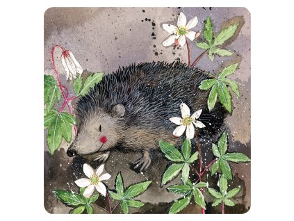 c2b1f7ca08e86c8110925a9fff0792c1