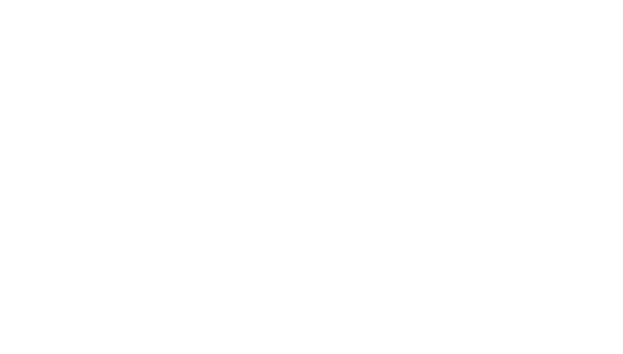 Fencing Point