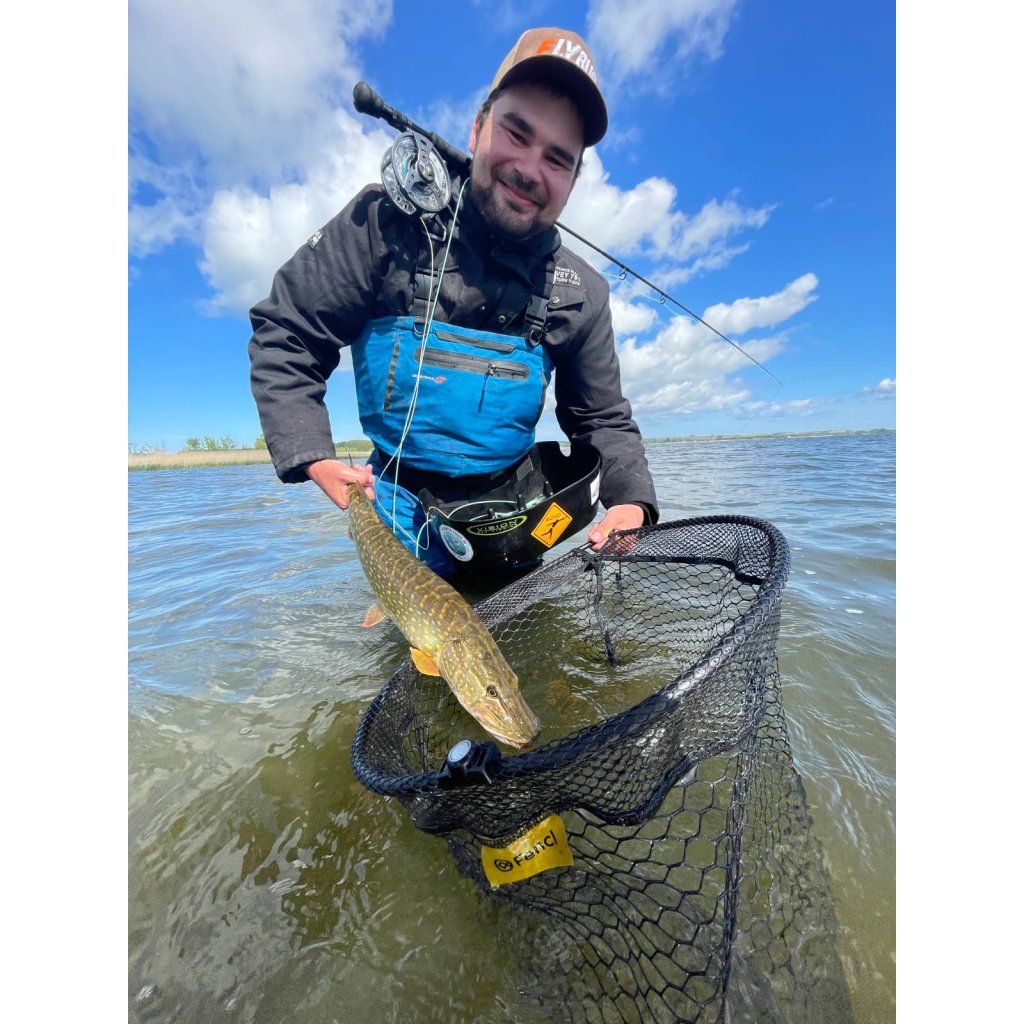 Parametry, magmet Podběráková hlava