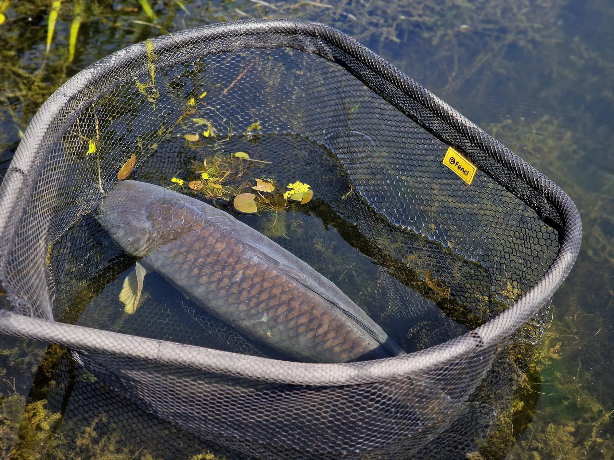 Nejlepší kaprové podběráky: Fencl Premium, Classic & MAX XXL