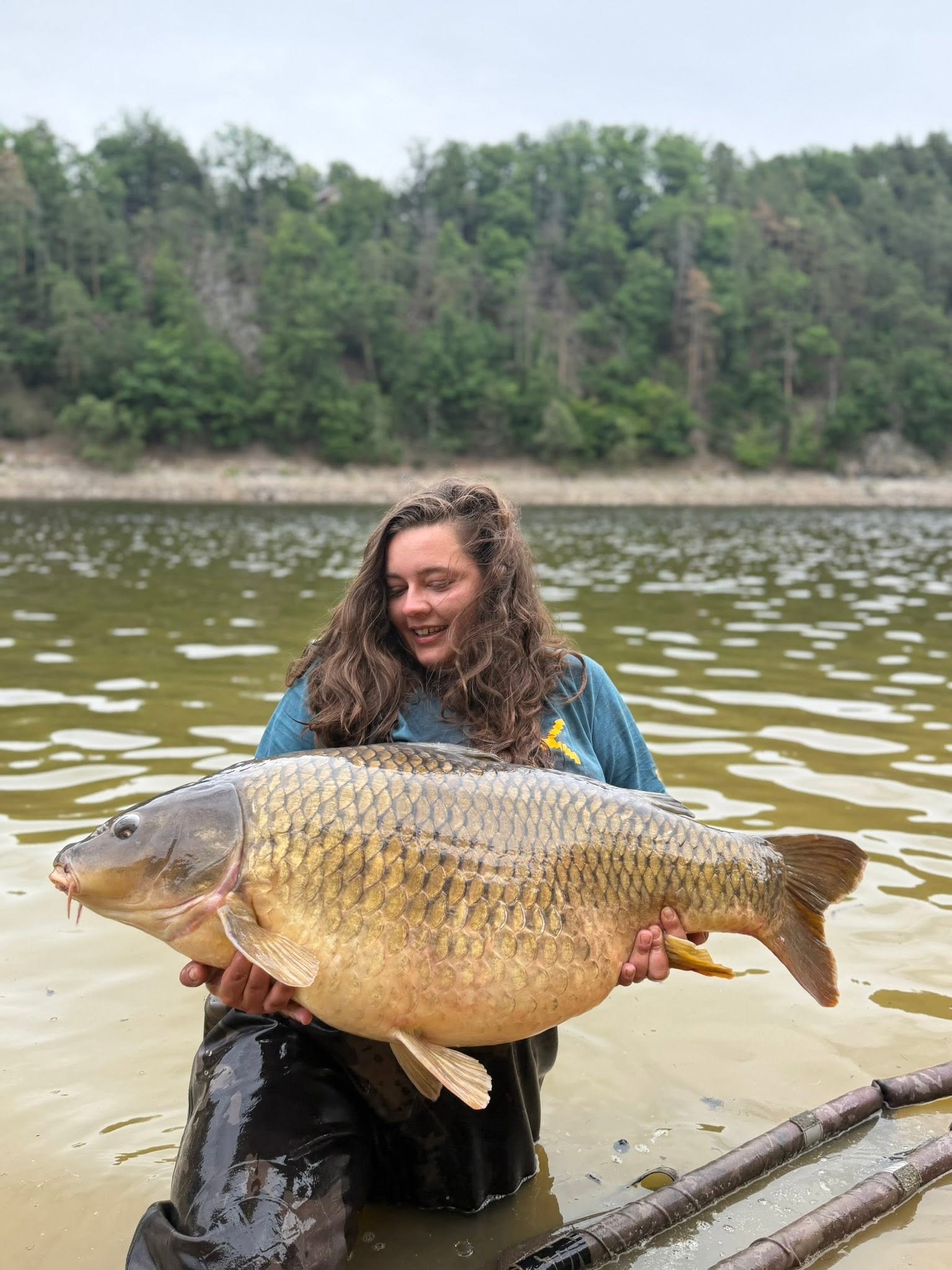 Detail kapra přes 22 kg z Orlické přehrady