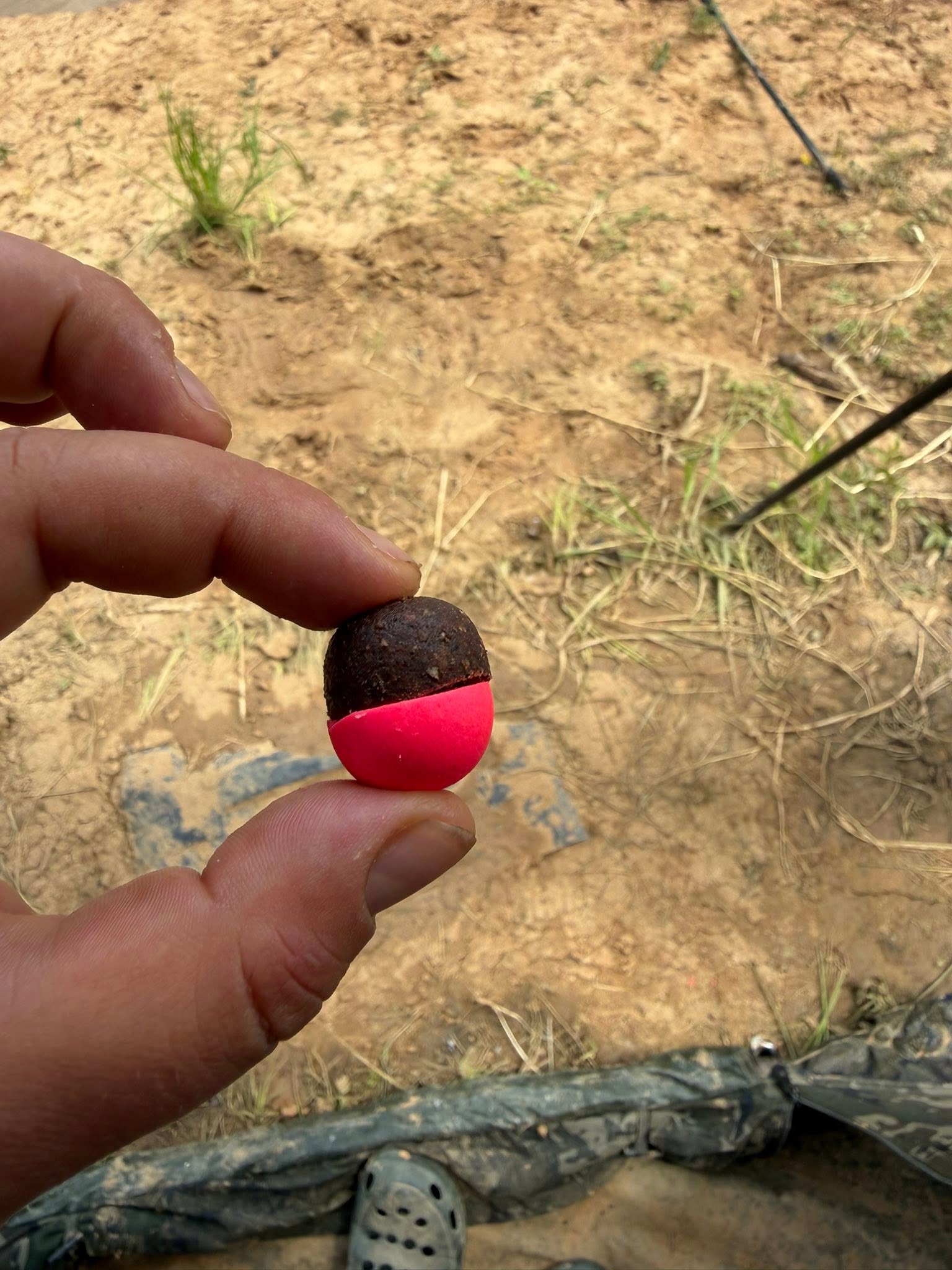 Tajná zbraň na kapry - kombinace Prehistoric a balanční nástrahy