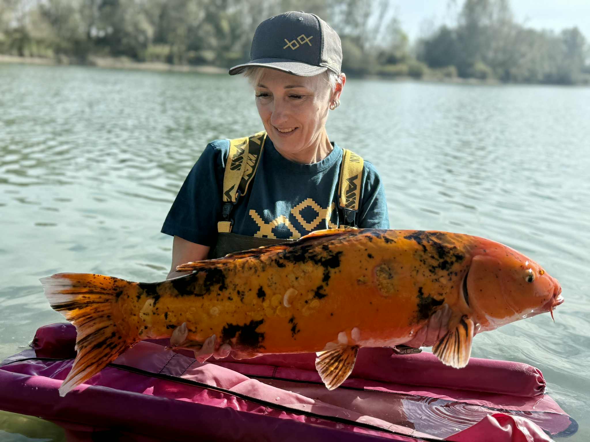 Verča – Konzentration