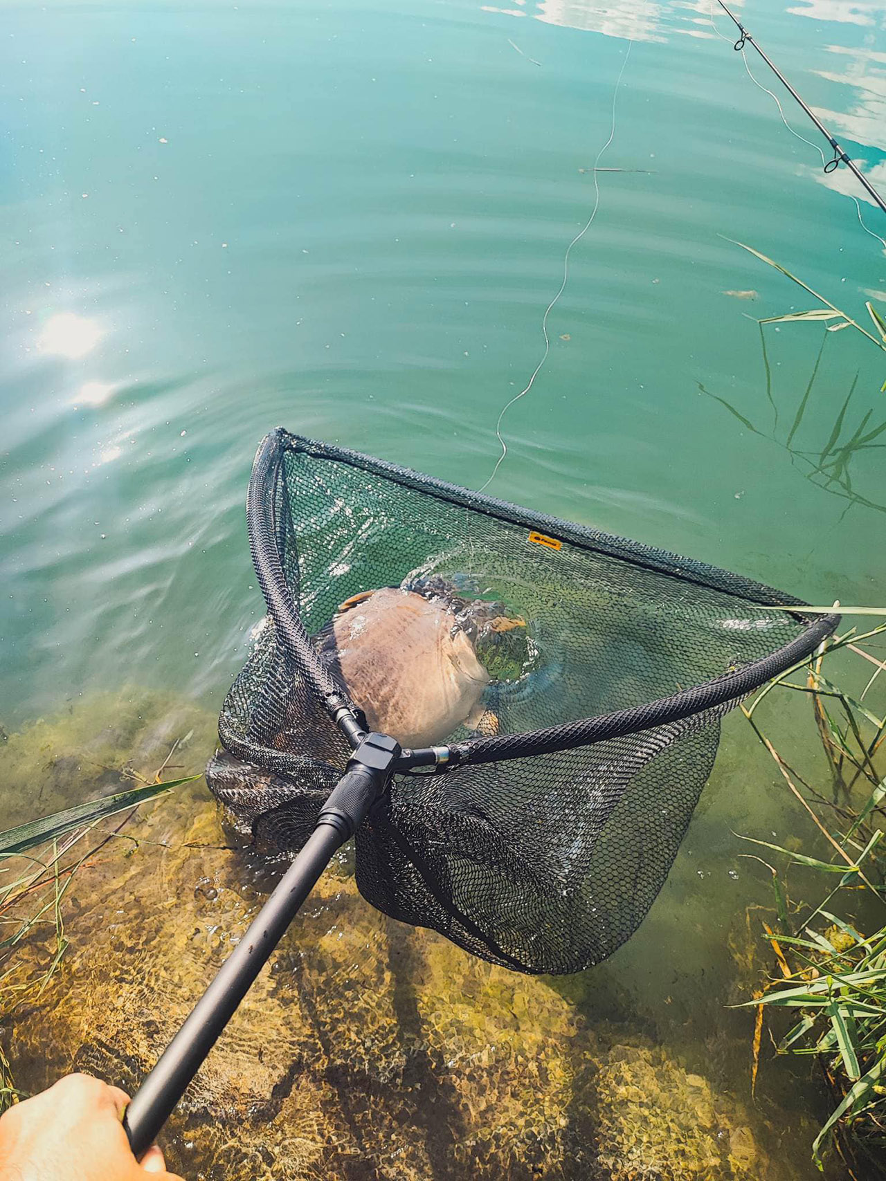 Fencl folding telescopic landing net MAX - Fencl fishing