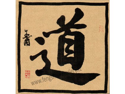 TAO - CESTA