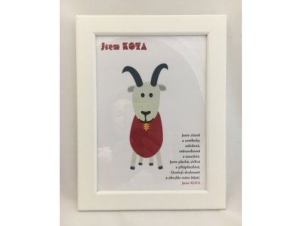 KOZA 1