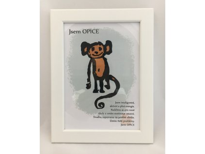 OPICE 2