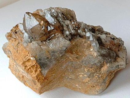 zahneda cesko velka druza kabinetni historicky nalez 1