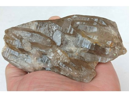 zýhněda velká česká republika 22