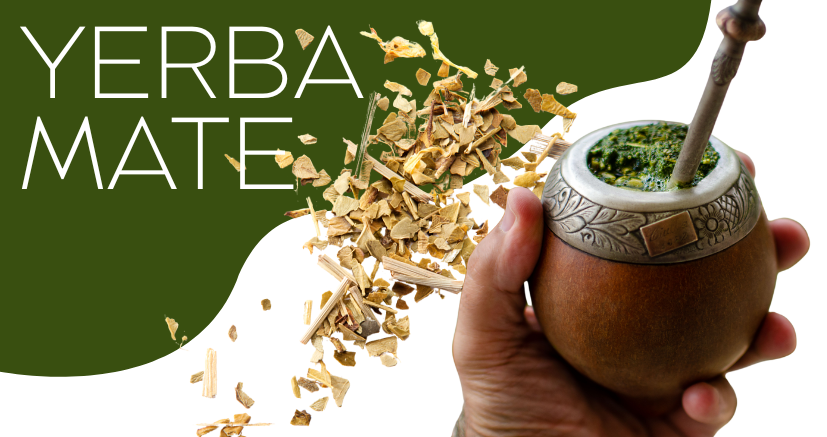 Yerba maté - blahodárný nápoj, účinky a přínosy