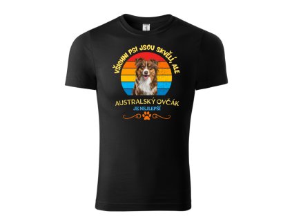 australsky ovcak detske
