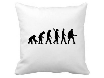 evoluce kytarista polstarek