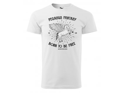 pegasus fantasy panske