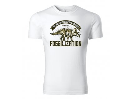 fossilization detske