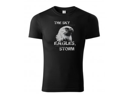 the sky belongs to eagles detkse