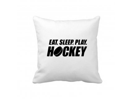 eat sleep hockey