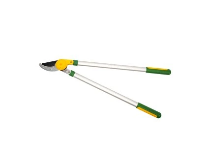 23779 xt97115 20250412 1656