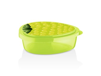 box svačinový 19,5x16x6cm GRAPES PH ZE