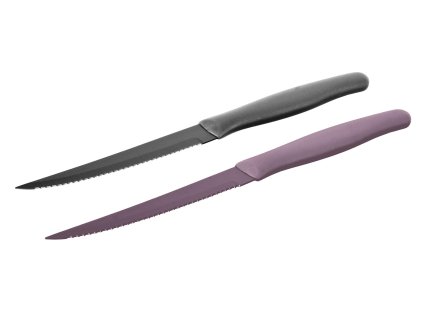 nůž na steak 23,5cm APETIT Color nerez