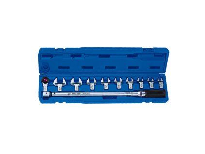 KT CPG0000101