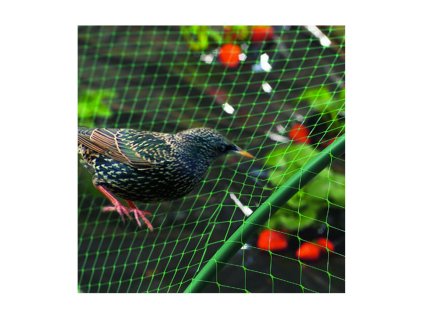 Síť zelená proti ptákům | M200 2x5 m