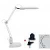 Ecolite LED stolní lampa L50164-LED 8W bílá